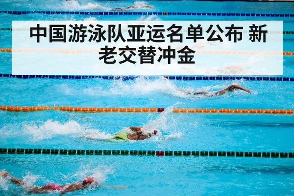 中国游泳队亚运名单公布 新老交替冲金
