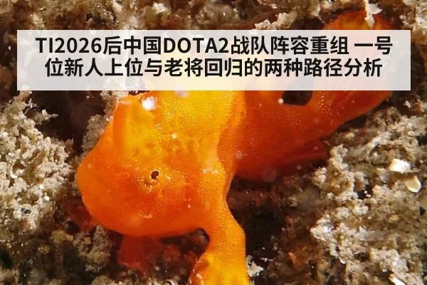 TI2026后中国DOTA2战队阵容重组 一号位新人上位与老将回归的两种路径分析