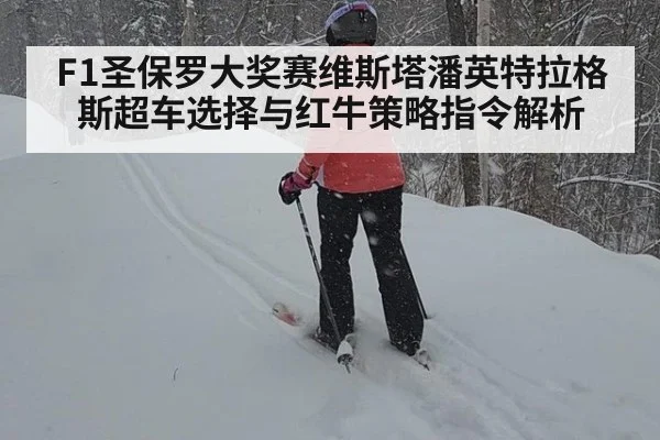 F1圣保罗大奖赛维斯塔潘英特拉格斯超车选择与红牛策略指令解析 - nine game